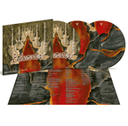 Grandes Éxitos y Fracasos (Volumen 2) - Vinilo Doble Picture Disc (Ed. Limitada)