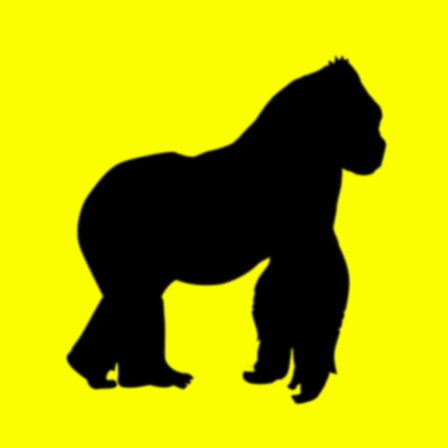 Daisy - Vinilo (Color Amarillo)