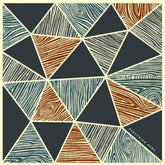 Eléctrica PKWAY - Vinilo