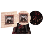 ¿Dónde Están Mis Amigos? - Vinilo Picture Disc (Ed. Limitada)