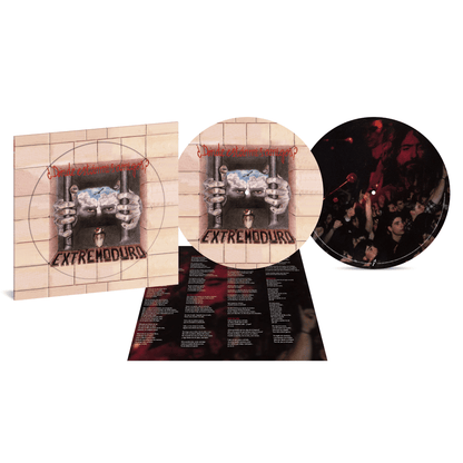 ¿Dónde Están Mis Amigos? - Vinilo Picture Disc (Ed. Limitada)