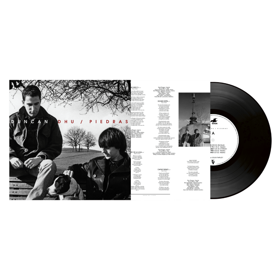 Piedras - Vinilo