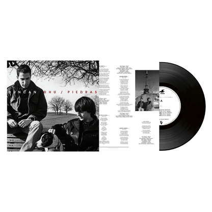 Piedras - Vinilo