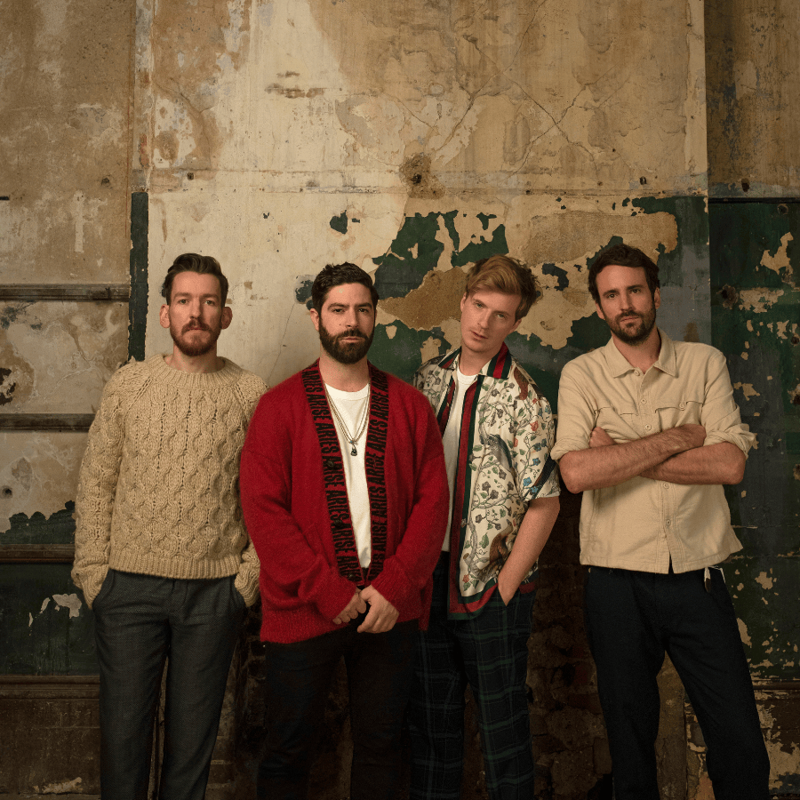 Foals