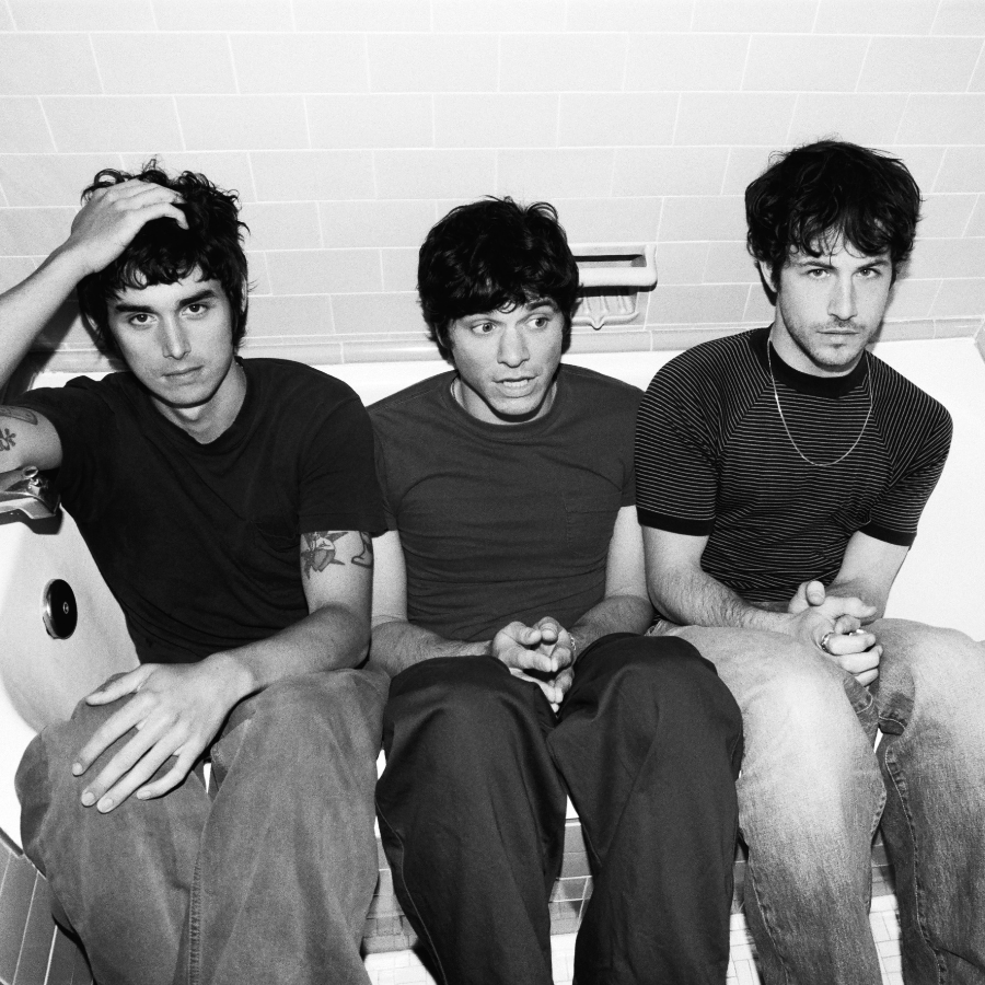 Wallows